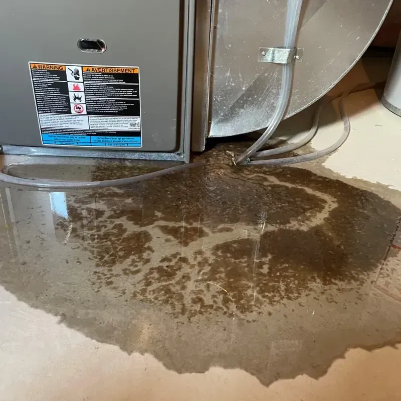 Appliance Leak Cleanup in Ozark, AL